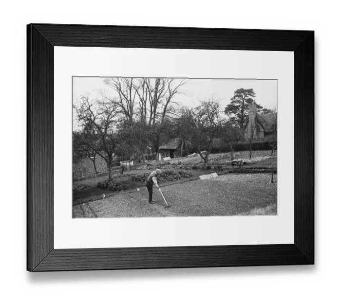 Framed Print : Gardening In Aldworth Framed Print : Gardening In Aldworth