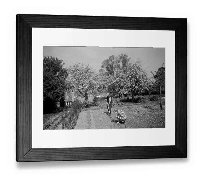 Framed Print : Gardening In Aldworth Framed Print : Gardening In Aldworth
