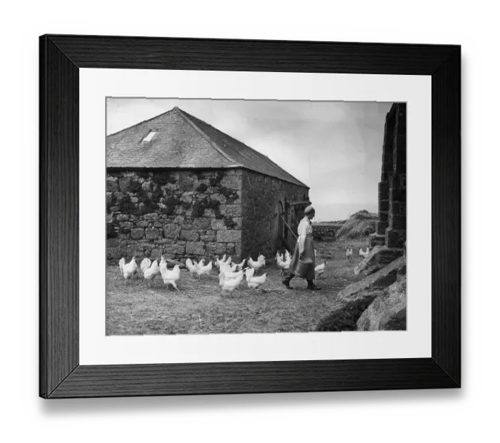Framed Print : Feeding The Layers Framed Print : Feeding The Layers