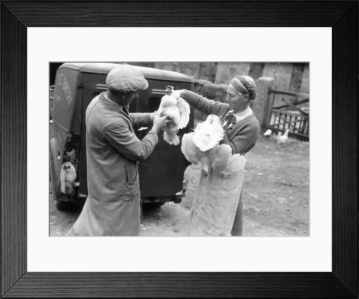 Framed Print : Poultry Selling Framed Print : Poultry Selling