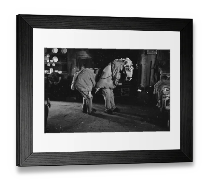 Framed Print : Panto Penelope Framed Print : Panto Penelope