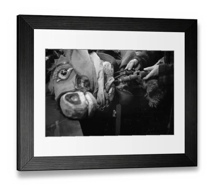 Framed Print : Head Works