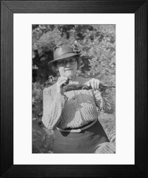 Framed Print : Fungus Foray Framed Print : Fungus Foray