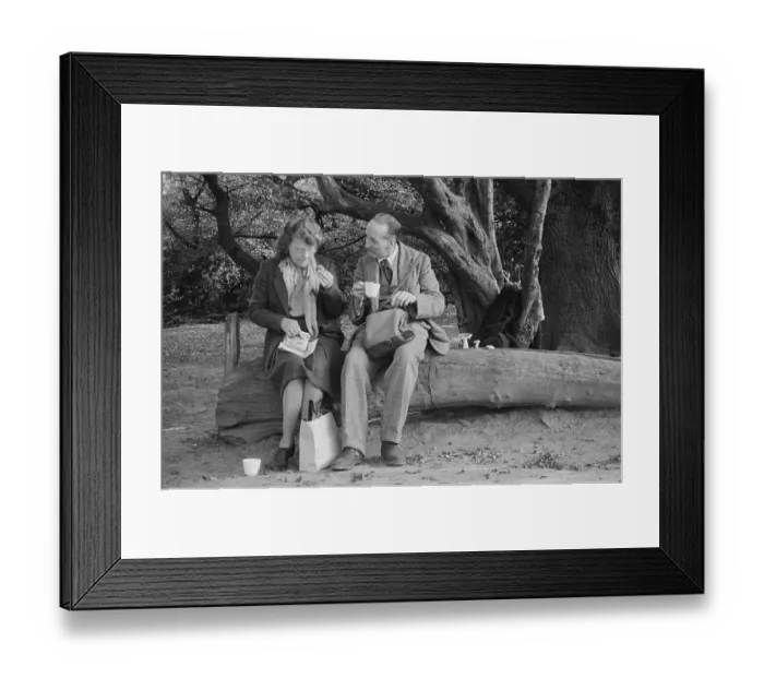 Framed Print : Fungus Foray Framed Print : Fungus Foray