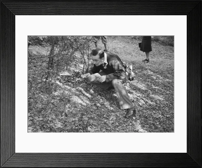 Framed Print : Fungus Foray Framed Print : Fungus Foray