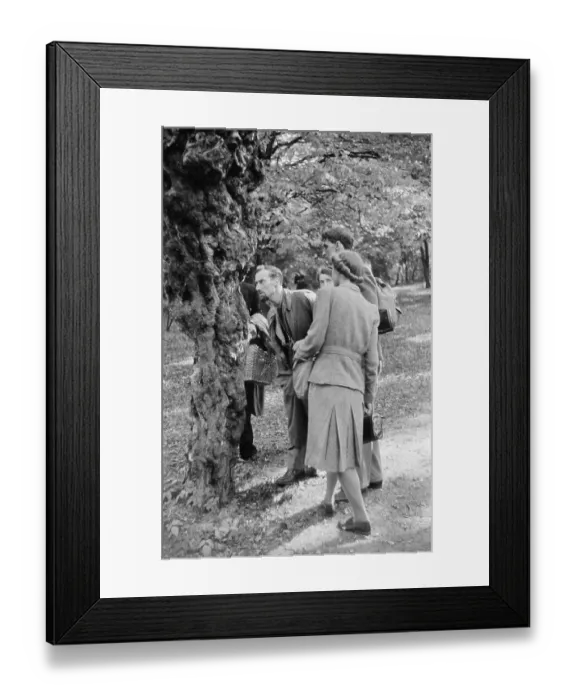 Framed Print : Fungus Foray Framed Print : Fungus Foray