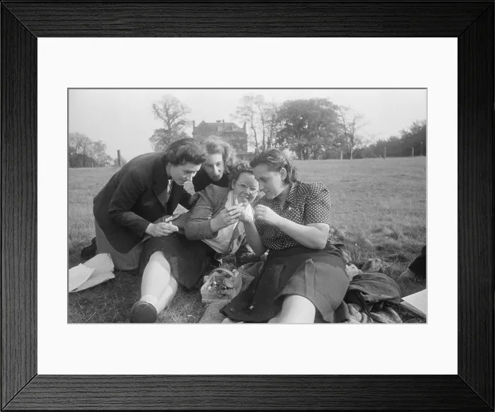 Framed Print : Fungus Foray Framed Print : Fungus Foray