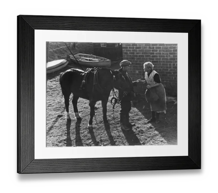 Framed Print : Duck For Christmas
