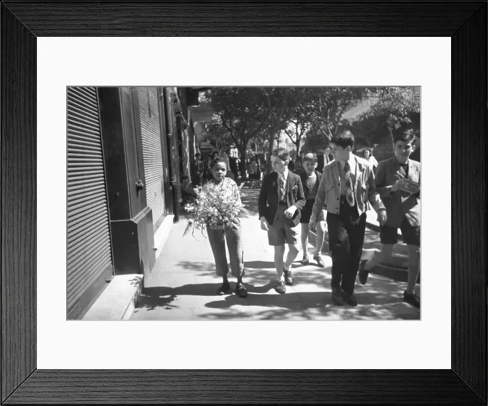 Framed Print : Algerian Flowers Framed Print : Algerian Flowers