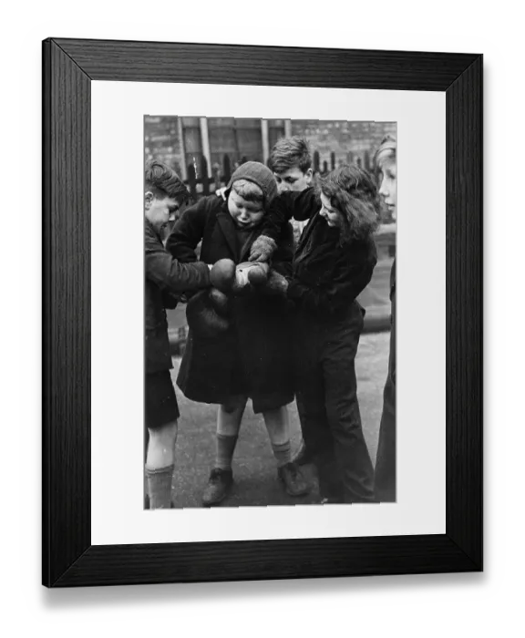 Framed Print : Young Boxer Framed Print : Young Boxer