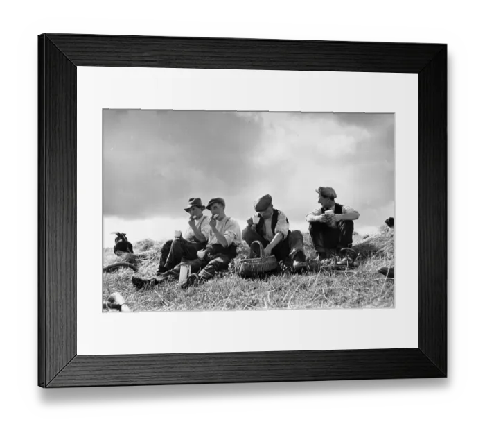Framed Print : Lunch Break Framed Print : Lunch Break