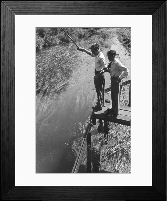 Framed Print : Fishing Days Framed Print : Fishing Days