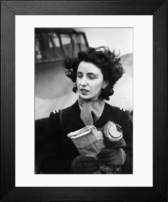 Framed Print : Flying Home Framed Print : Flying Home