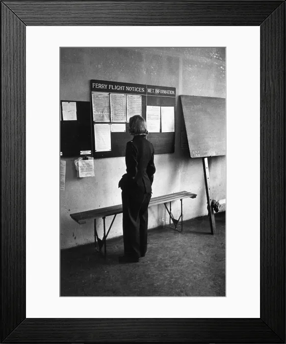 Framed Print : Flight Notices Framed Print : Flight Notices