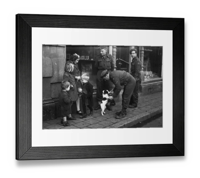 Framed Print : Friendly Soldiers Framed Print : Friendly Soldiers