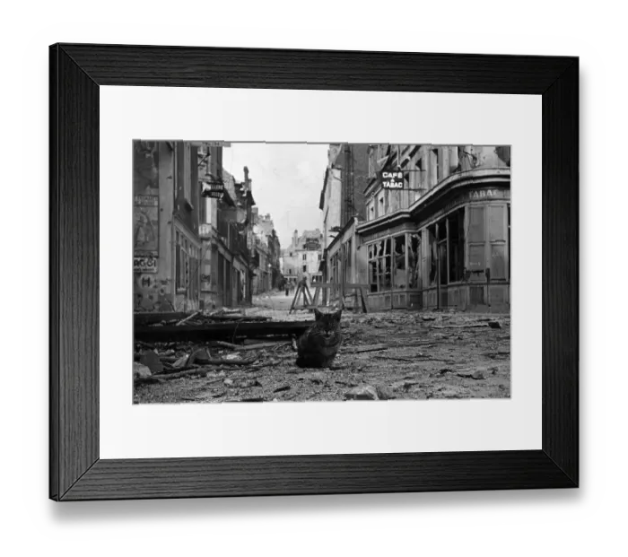 Framed Print : Imperturbable Framed Print : Imperturbable