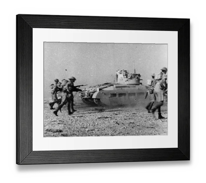 Framed Print : Allies In Africa Framed Print : Allies In Africa