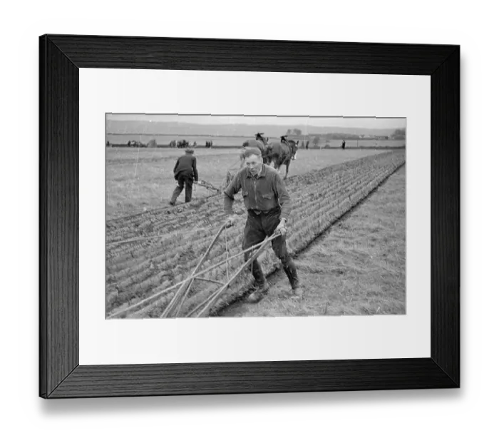 Framed Print : Horse & Plough Framed Print : Horse & Plough