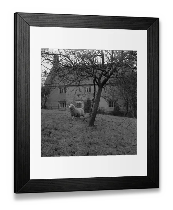 Framed Print : Woolsthorpe Manor Framed Print : Woolsthorpe Manor