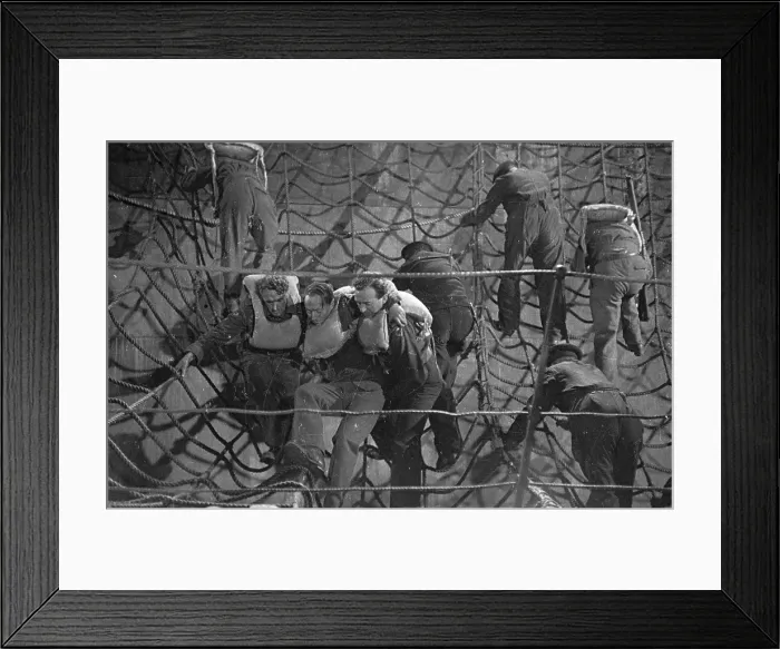 Framed Print : Lift To Safety Framed Print : Lift To Safety