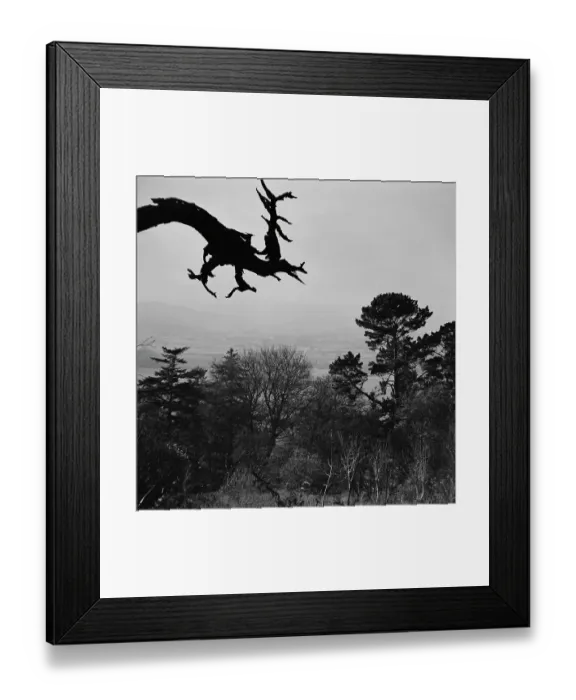 Framed Print : The National Trust Framed Print : The National Trust