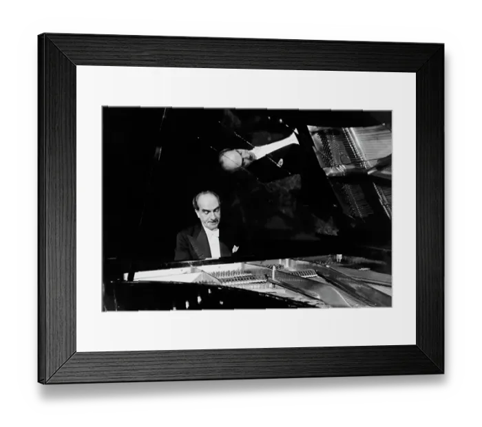 Framed Print : Walter Landauer