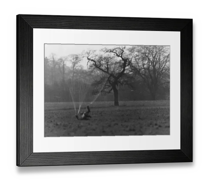 Framed Print : Touch Down Framed Print : Touch Down