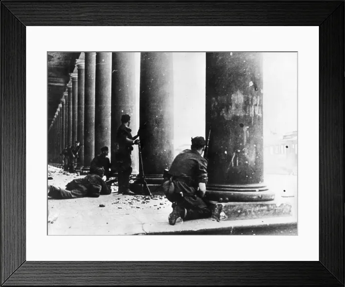 Framed Print : Taking Shelter Framed Print : Taking Shelter