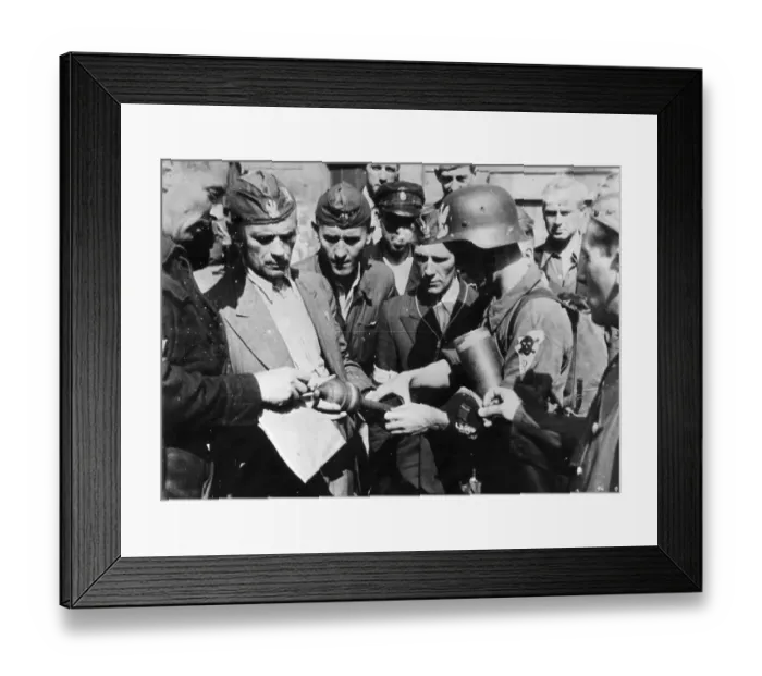 Framed Print : Spoils Of War Framed Print : Spoils Of War