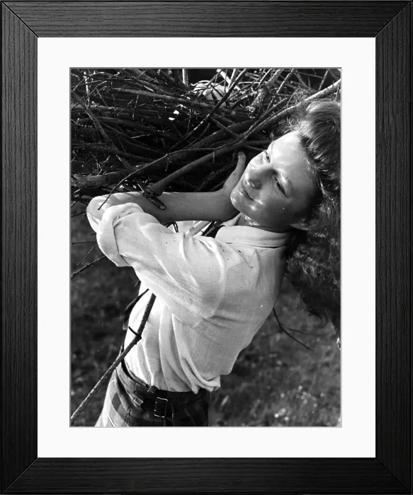 Framed Print : Fetching Firewood Framed Print : Fetching Firewood