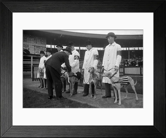 Framed Print : White City Dogs Framed Print : White City Dogs