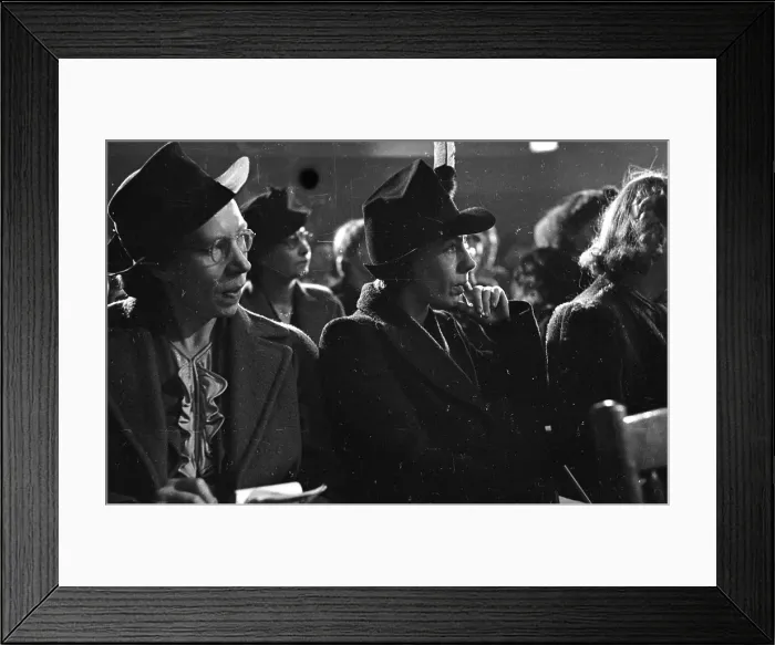 Framed Print : Listening Intently Framed Print : Listening Intently