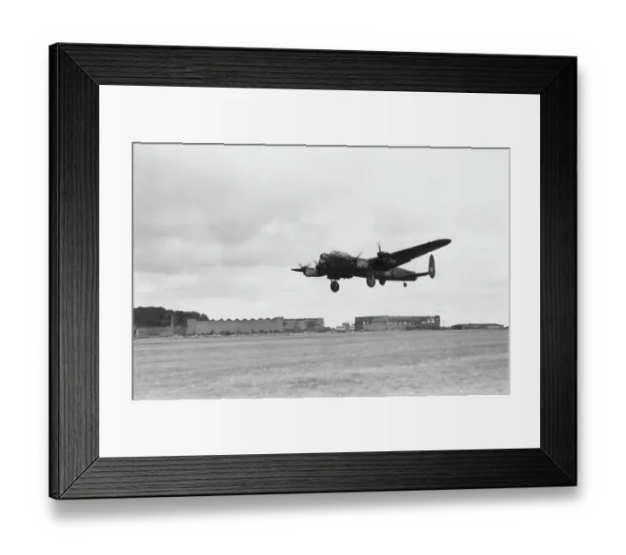 Framed Print : T For Tilly Framed Print : T For Tilly