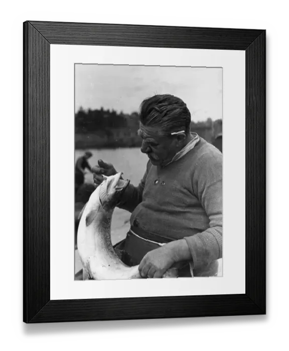 Framed Print : Dee Salmon Framed Print : Dee Salmon