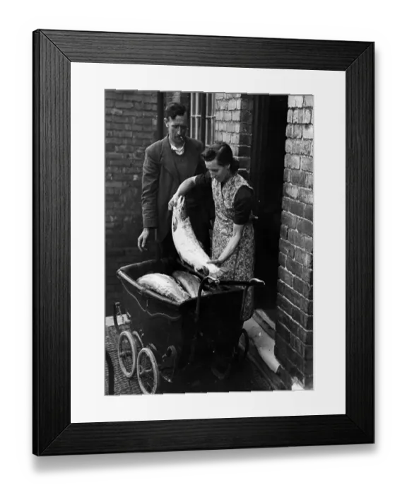 Framed Print : Baby Salmon Framed Print : Baby Salmon