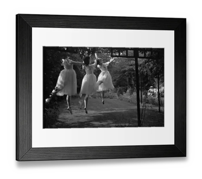 Framed Print : Dancing In The Garden Framed Print : Dancing In The Garden