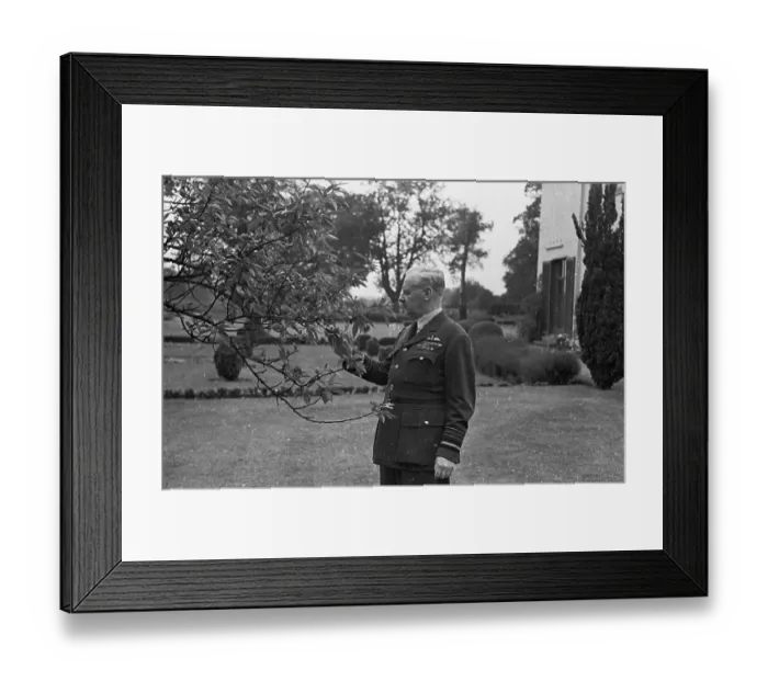 Framed Print : Harris Garden Framed Print : Harris Garden