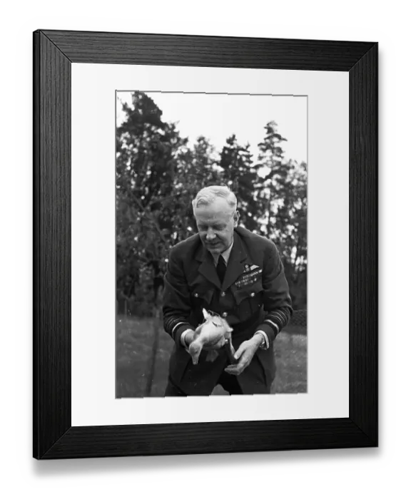 Framed Print : Duck Lover Harris Framed Print : Duck Lover Harris