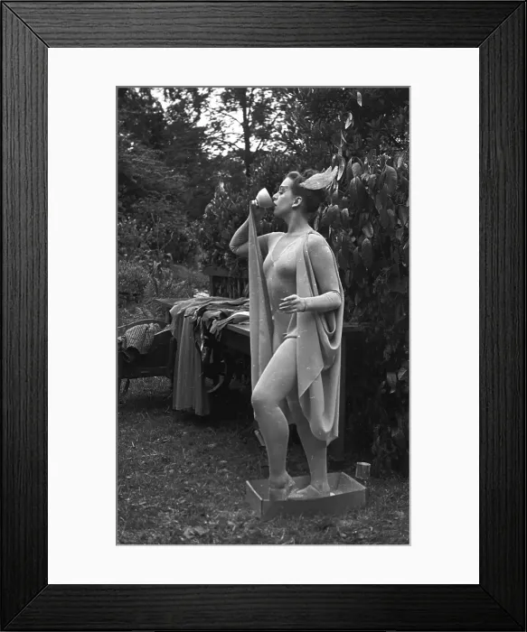 Framed Print : Honer As Ariel Framed Print : Honer As Ariel