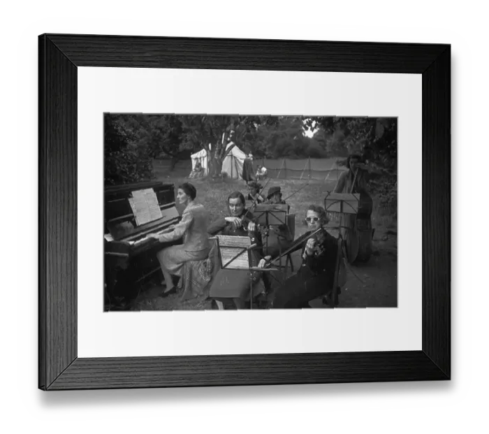 Framed Print : Ding Dong Orchestra Framed Print : Ding Dong Orchestra