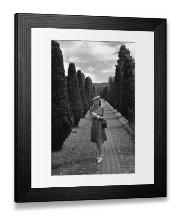 Framed Print : Polka In A Garden Framed Print : Polka In A Garden