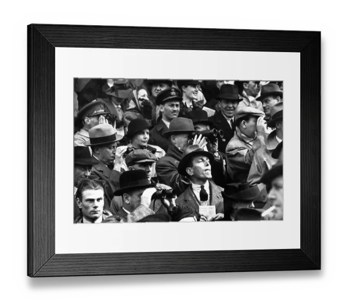Framed Print : Hopeful Trainer Framed Print : Hopeful Trainer