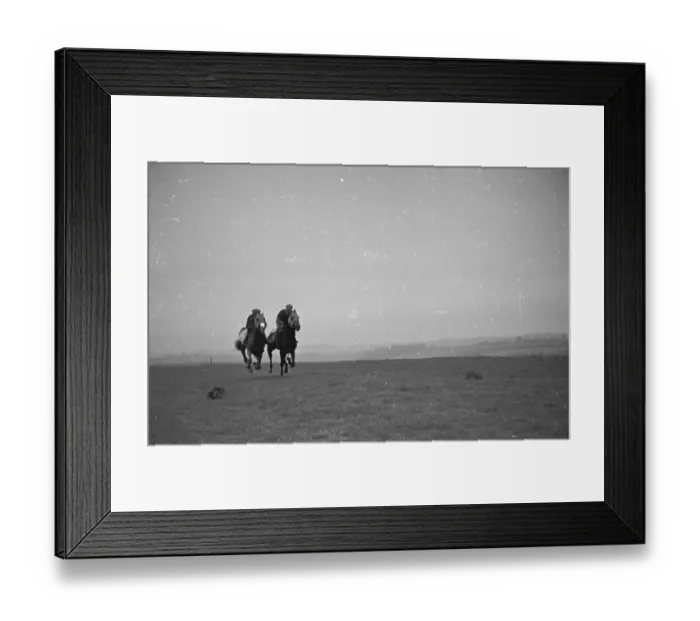 Framed Print : Running Colts