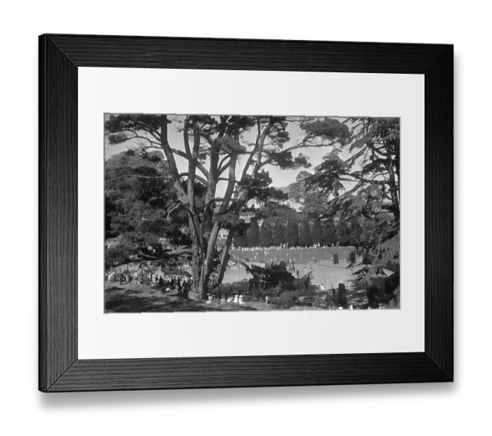 Framed Print : Dartington Estate Framed Print : Dartington Estate