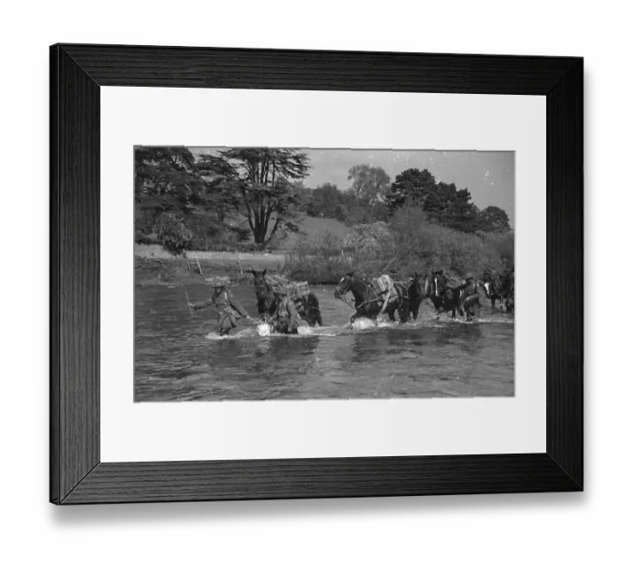 Framed Print : River Horses Framed Print : River Horses