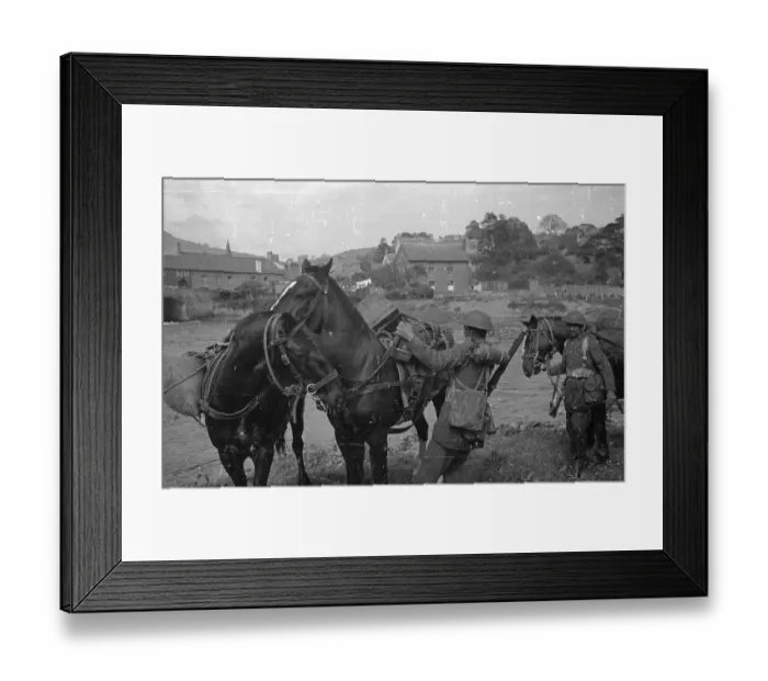 Framed Print : Training Horses Framed Print : Training Horses