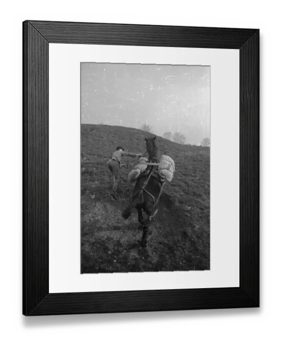 Framed Print : Laden Horse Framed Print : Laden Horse