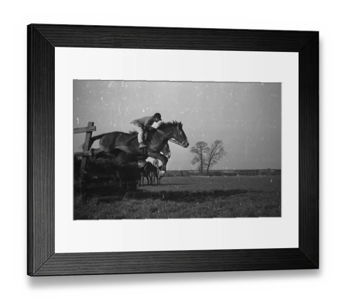 Framed Print : Jumping Horse Framed Print : Jumping Horse