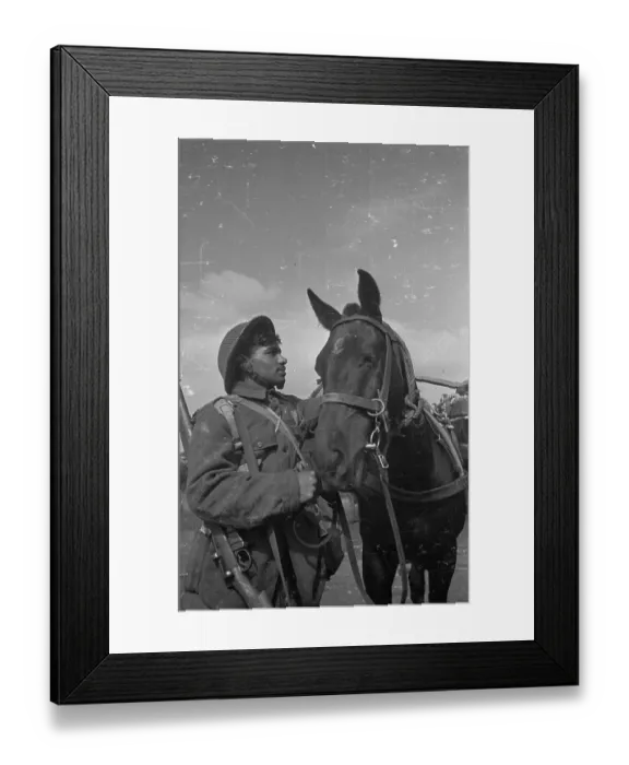 Framed Print : Horse And Soldier Framed Print : Horse And Soldier