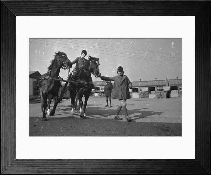 Framed Print : Horse Training Framed Print : Horse Training